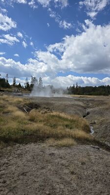 20250830_130545.jpg