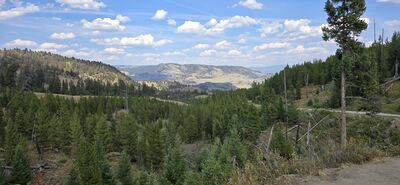 20250901_160422.jpg