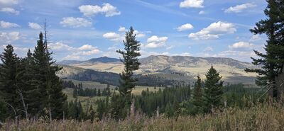 20250901_162304.jpg
