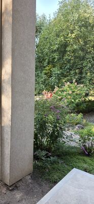 20250909_090216.jpg