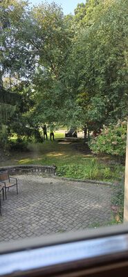20250909_091534.jpg