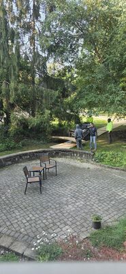 20250909_091605.jpg