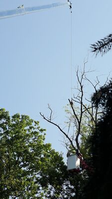 20250909_100919.jpg