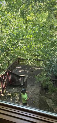 20250909_113552.jpg
