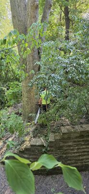 20250909_123553.jpg