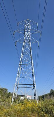 20250914_153101.jpg