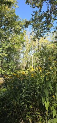 20250914_153549.jpg