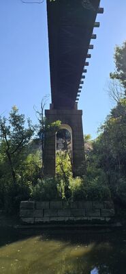 20250914_160804.jpg