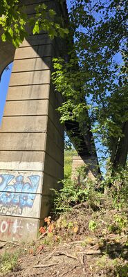 20250914_160841.jpg
