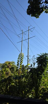 20250914_161239.jpg
