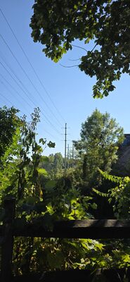 20250914_161248.jpg