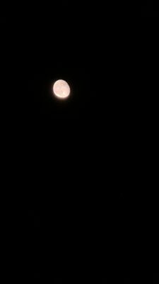 20251009_210413.jpg