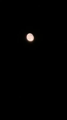 20251009_210418.jpg
