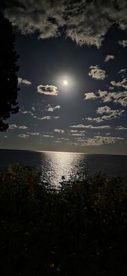 20251009_222215.jpg