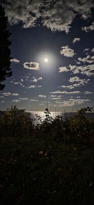 20251009_222225.jpg