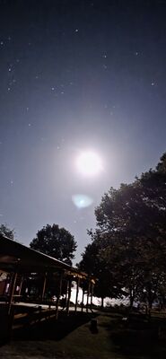20251009_230834.jpg