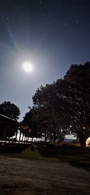 20251009_230901.jpg