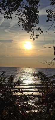20251010_081544.jpg