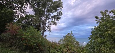 20251010_184820.jpg