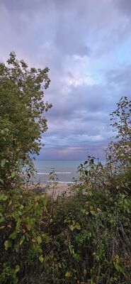 20251010_184847.jpg