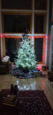 20251223_065408.jpg