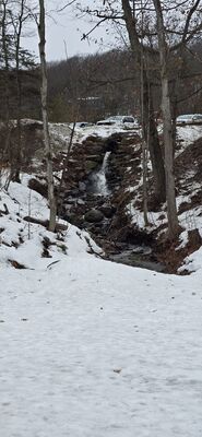20260110_141001.jpg