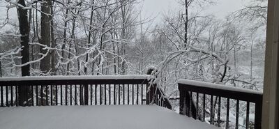 20260115_101243.jpg