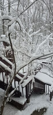20260115_101334.jpg