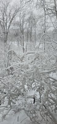 20260115_101347.jpg