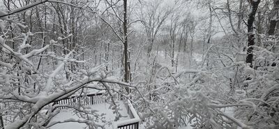 20260115_101409.jpg