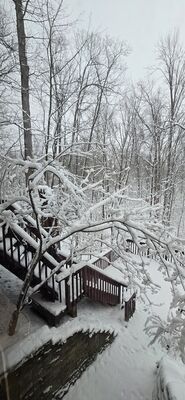 20260115_101454.jpg