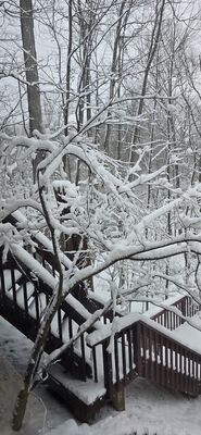 20260115_101523.jpg