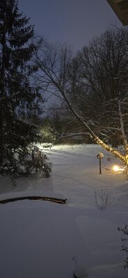 20260127_071023.jpg