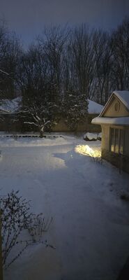 20260127_071103.jpg