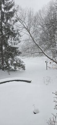 20260127_164546.jpg