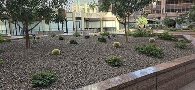 20260210_164630.jpg