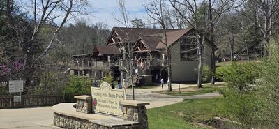 20260410_111300.jpg