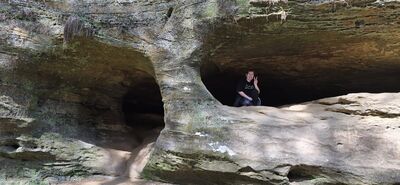 20260410_115216.jpg