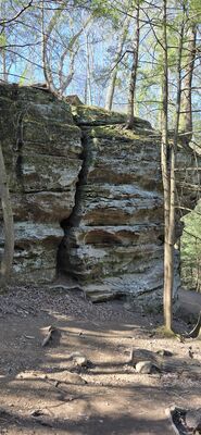 20260411_110119.jpg