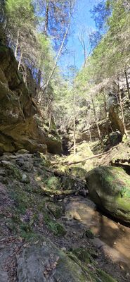 20260411_123432.jpg