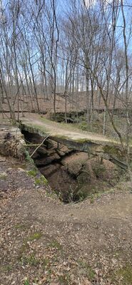 20260412_145032.jpg