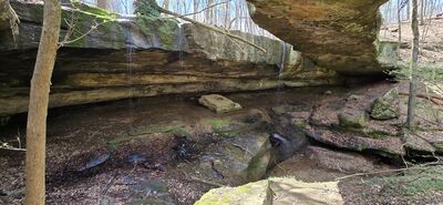 20260412_145248.jpg