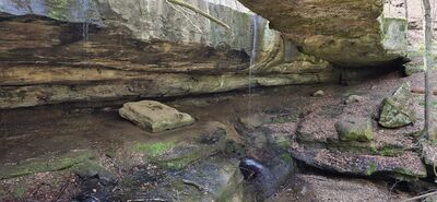 20260412_145626.jpg