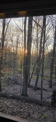 20260424_192705.jpg