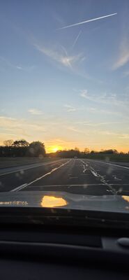 20260426_200836.jpg