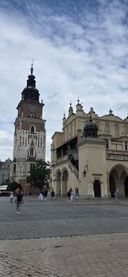 20260727_101007.jpg