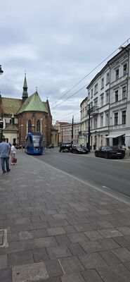 20260727_102435.jpg