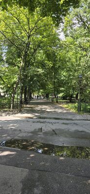 20260727_141406.jpg