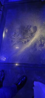20260727_150519.jpg