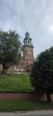 20260727_171036.jpg